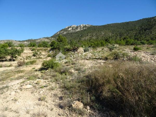 Terreno en Hondón de las Nieves
