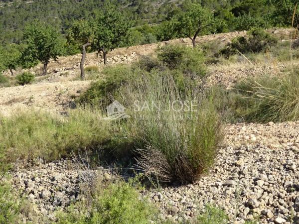 Terreno en Hondón de las Nieves