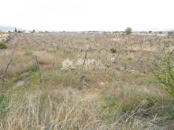 Terreno en Novelda