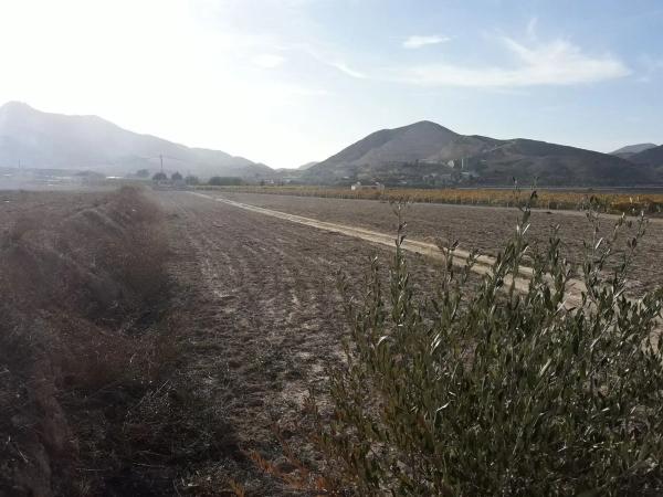 Terreno en Barrio Prosperidad - La Cruz