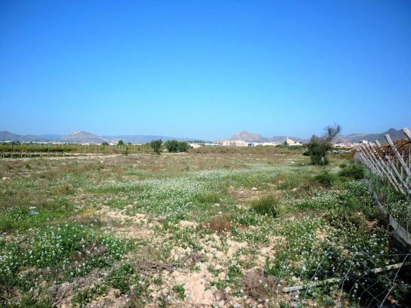 Terreno en Monforte del Cid