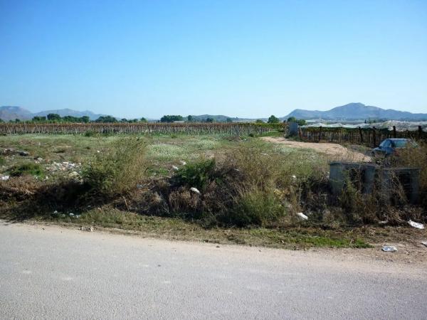 Terreno en Monforte del Cid