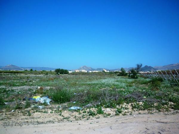 Terreno en Monforte del Cid
