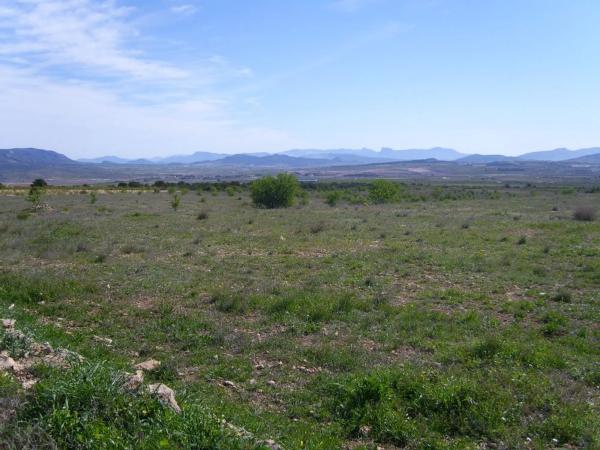 Terreno en Pinoso