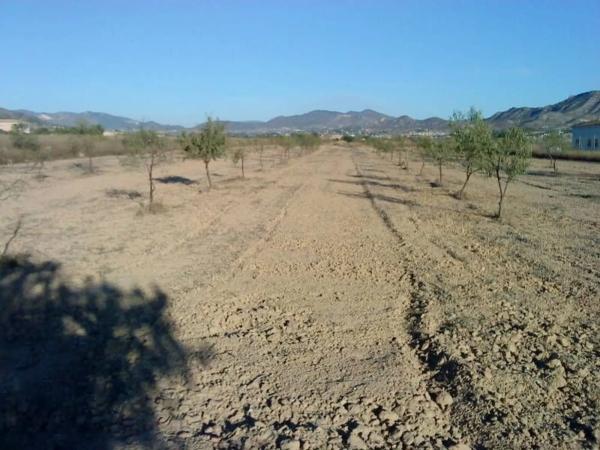 Terreno en Pedanías Oeste