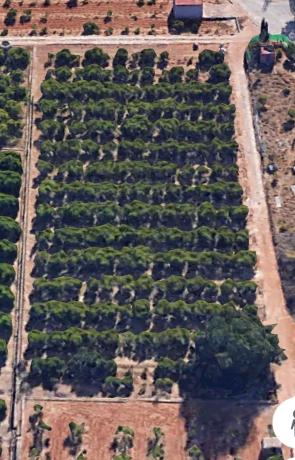Terreno en camino Real