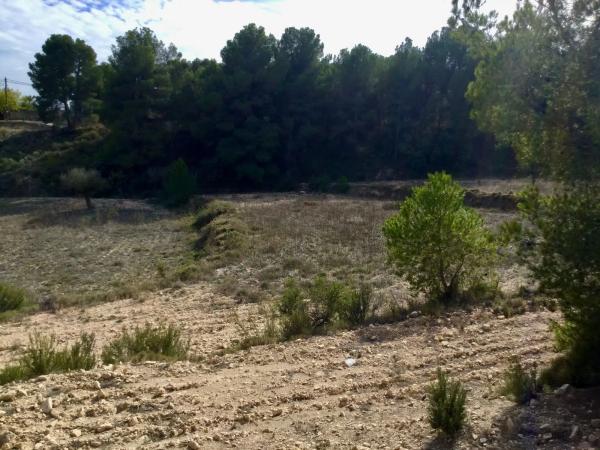 Terreno en Poligono 6 parcela 35 y 36 s/n