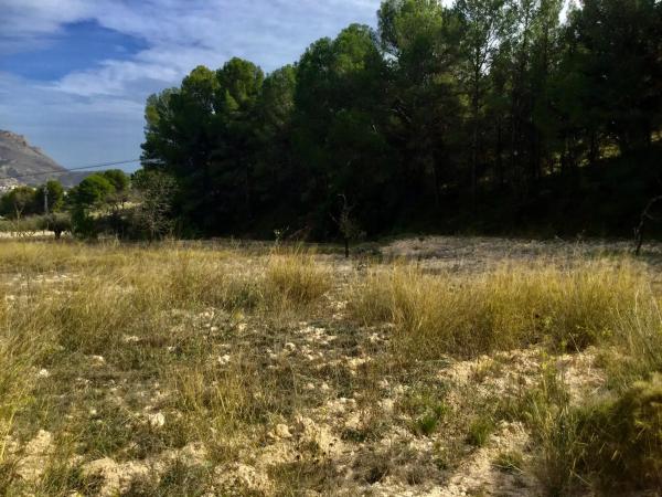 Terreno en Poligono 6 parcela 35 y 36 s/n