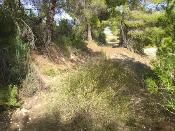 Terreno en Poligono 6 parcela 35 y 36 s/n