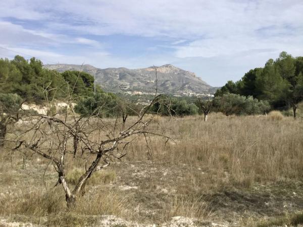 Terreno en Poligono 6 parcela 35 y 36 s/n