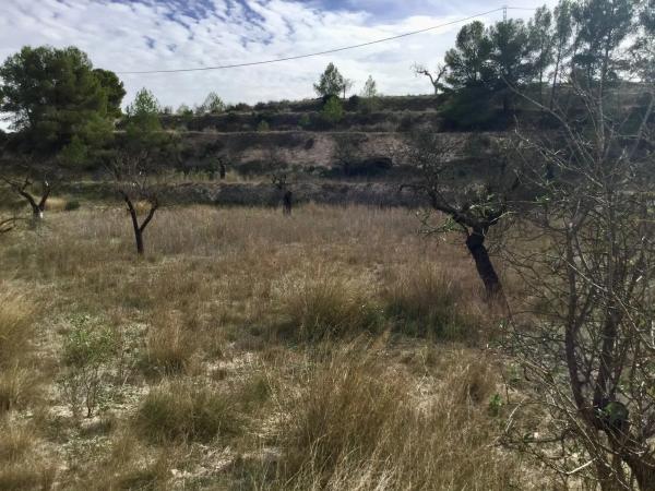 Terreno en Poligono 6 parcela 35 y 36 s/n