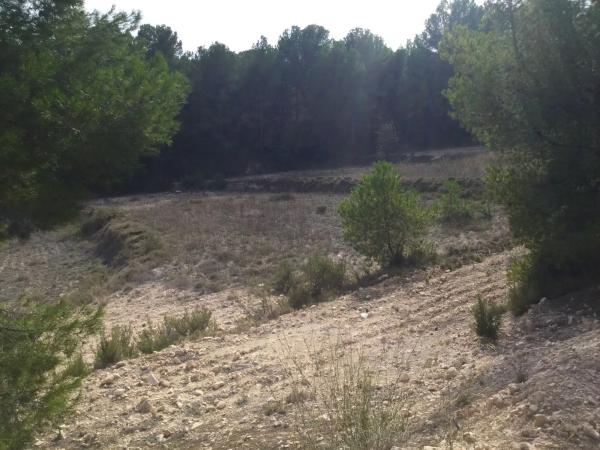 Terreno en Poligono 6 parcela 35 y 36 s/n