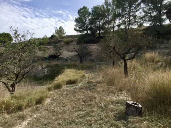 Terreno en Poligono 6 parcela 35 y 36 s/n