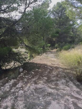 Terreno en Poligono 6 parcela 35 y 36 s/n