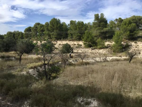 Terreno en Poligono 6 parcela 35 y 36 s/n