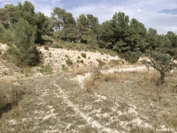 Terreno en Poligono 6 parcela 35 y 36 s/n