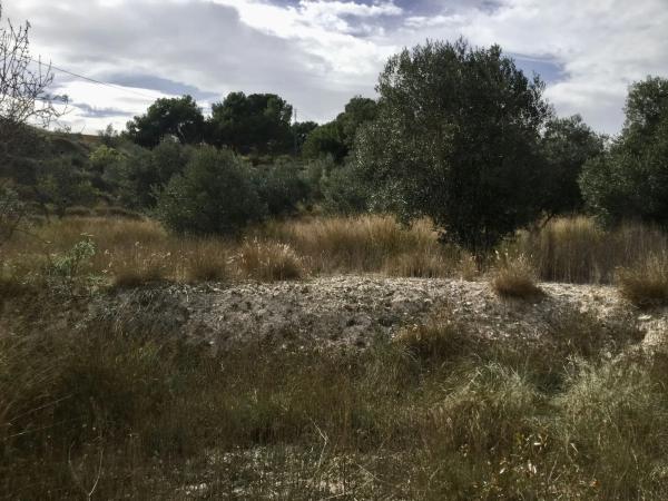 Terreno en Poligono 6 parcela 35 y 36 s/n