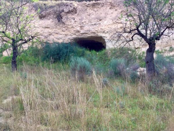 Terreno en Poligono 6 parcela 35 y 36 s/n