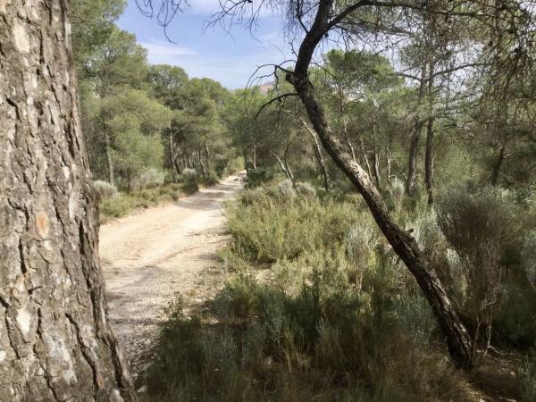 Terreno en Poligono 6 parcela 35 y 36 s/n