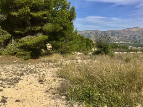 Terreno en Poligono 6 parcela 35 y 36 s/n