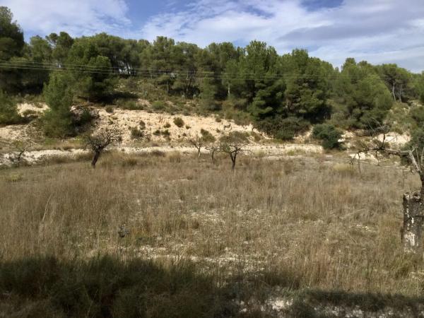 Terreno en Poligono 6 parcela 35 y 36 s/n