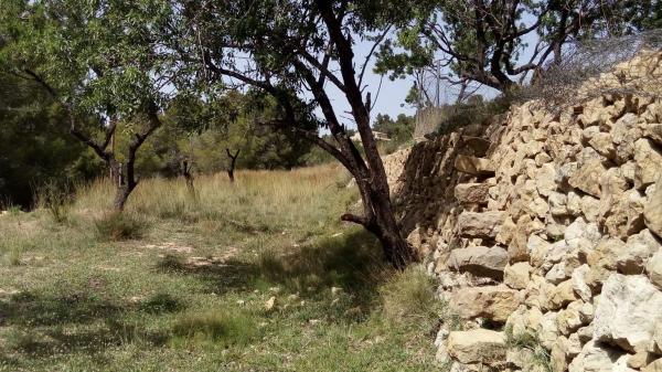 Terreno en Benissa pueblo