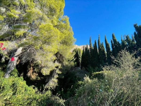 Terreno en Ćalle de Andromeda