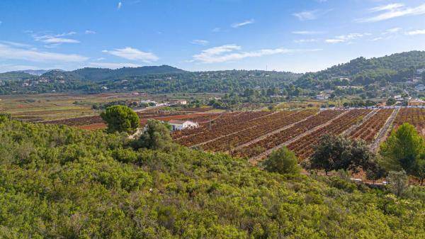 Terreno en camino la Cuta, 8