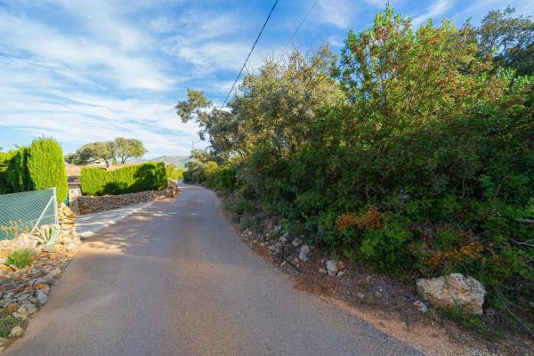 Terreno en camino la Cuta, 8