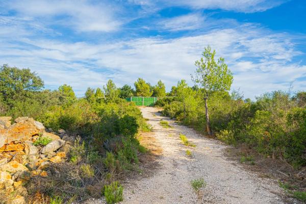 Terreno en camino la Cuta, 8