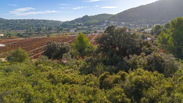 Terreno en camino la Cuta, 8