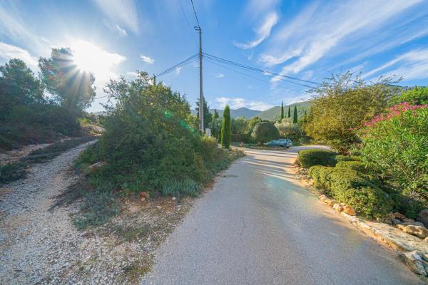 Terreno en camino la Cuta, 8