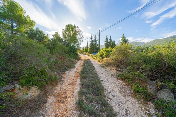 Terreno en camino la Cuta, 8