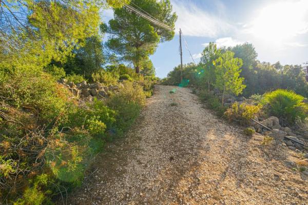 Terreno en camino la Cuta, 8