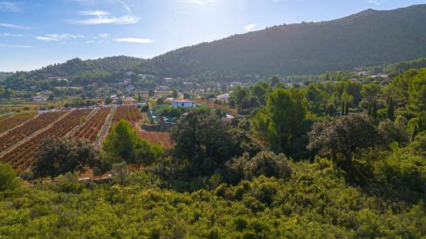 Terreno en camino la Cuta, 8