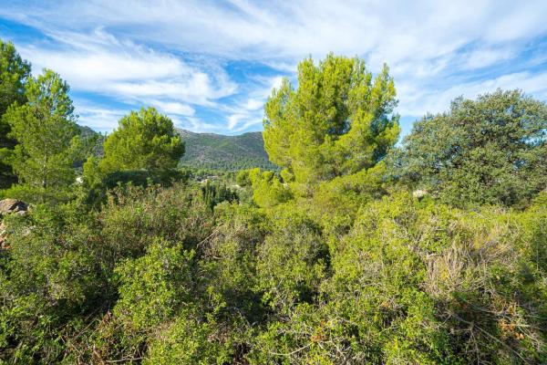 Terreno en camino la Cuta, 8
