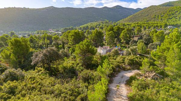 Terreno en camino la Cuta, 8