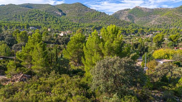 Terreno en camino la Cuta, 8