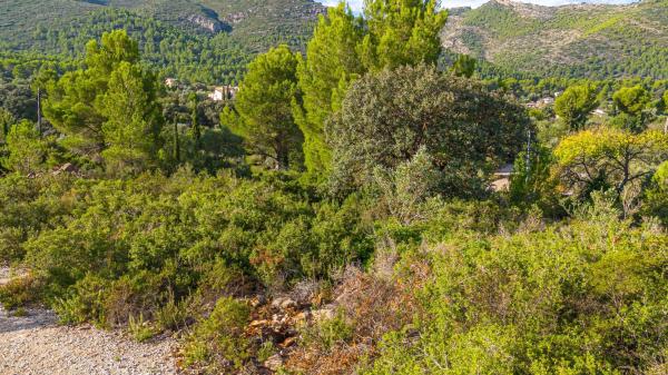 Terreno en camino la Cuta, 8