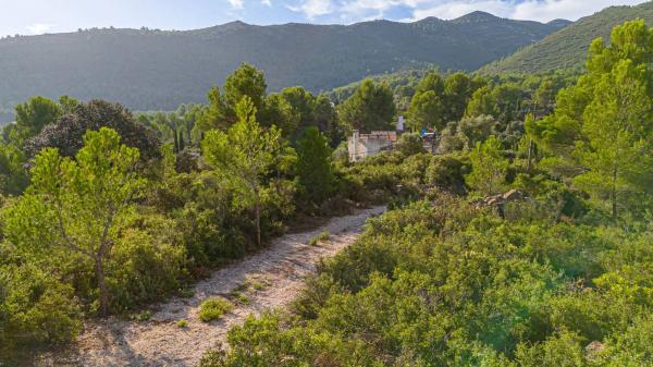 Terreno en camino la Cuta, 8