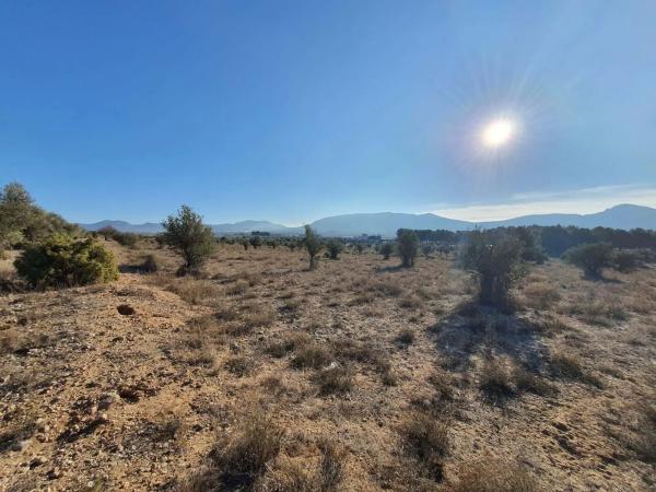 Terreno en calle a-W