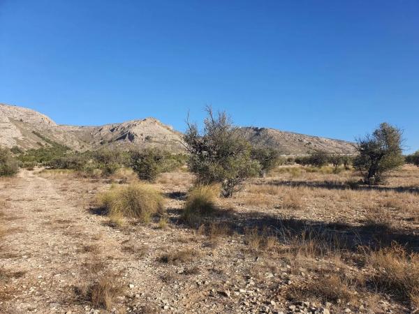 Terreno en calle a-W