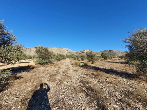 Terreno en calle a-W