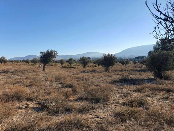 Terreno en calle a-W