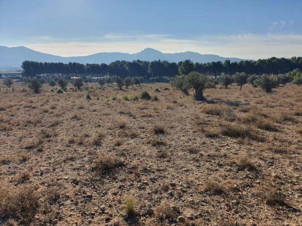 Terreno en calle a-W