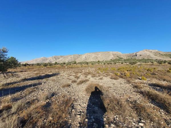 Terreno en calle a-W