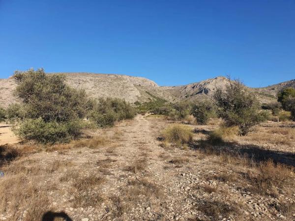 Terreno en calle a-W