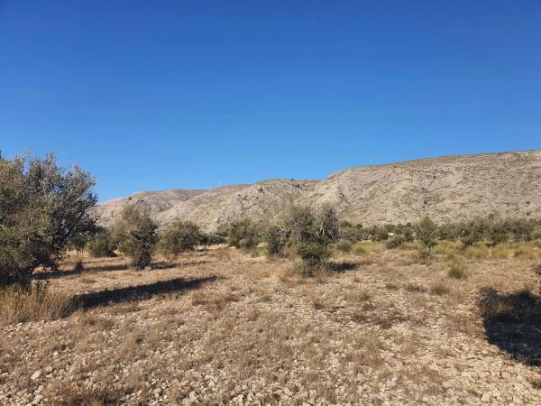 Terreno en calle a-W