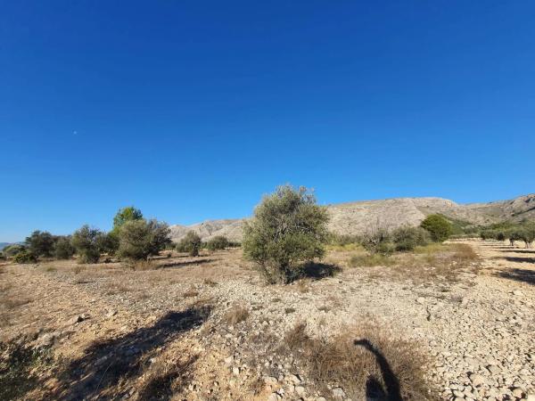 Terreno en calle a-W