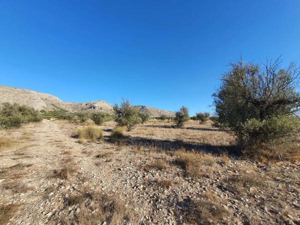 Terreno en calle a-W